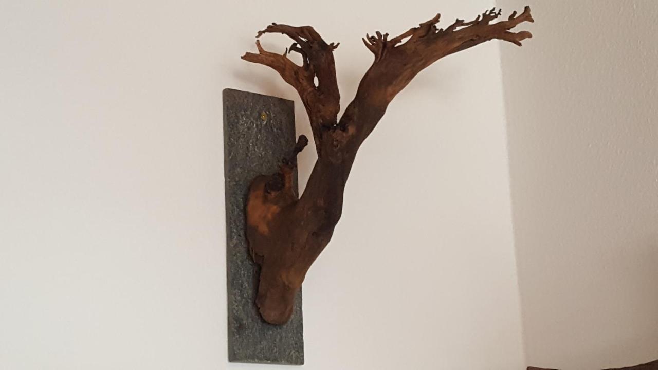 Ferienhaus Lucia, App.11 Schönwalde Dış mekan fotoğraf