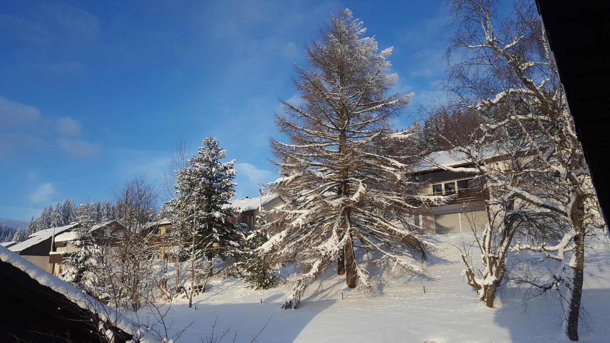 Ferienhaus Lucia, App.11 Schönwalde Dış mekan fotoğraf